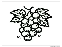 Üzümler - Sayfa 3 Boyama Sayfası