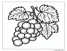 Üzümler - Sayfa 4 Boyama Sayfası