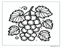 Üzümler - Sayfa 6 Boyama Sayfası