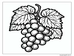 Üzümler - Sayfa 7 Boyama Sayfası