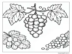 Üzümler temel Boyama Sayfası