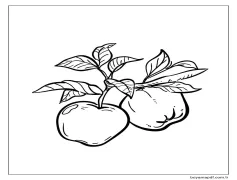 Yapraklı İki Elma Boyama Sayfası
