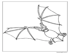 Yarasa (8) Boyama Sayfası