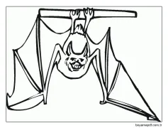 Yarasa (9) Boyama Sayfası