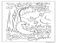 Yazdırılabilir Kirpi Boyama Sayfası