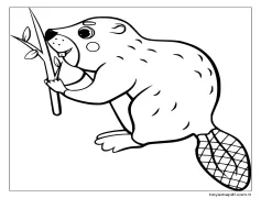 Yazdırılabilir Kunduz Boyama Sayfası