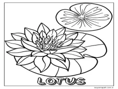 Yazdırılabilir Lotus Boyama Sayfası