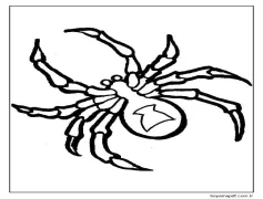 Yazdırılabilir Örümcek Boyama Sayfası