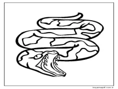 Yazdırılabilir Yılan Çocuklar İçin Boyama Sayfası