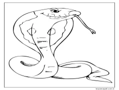Yılan Ücretsiz Çocuklar İçin Boyama Sayfası