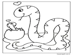 Yılan Yazdırılabilir Çocuklar İçin Boyama Sayfası