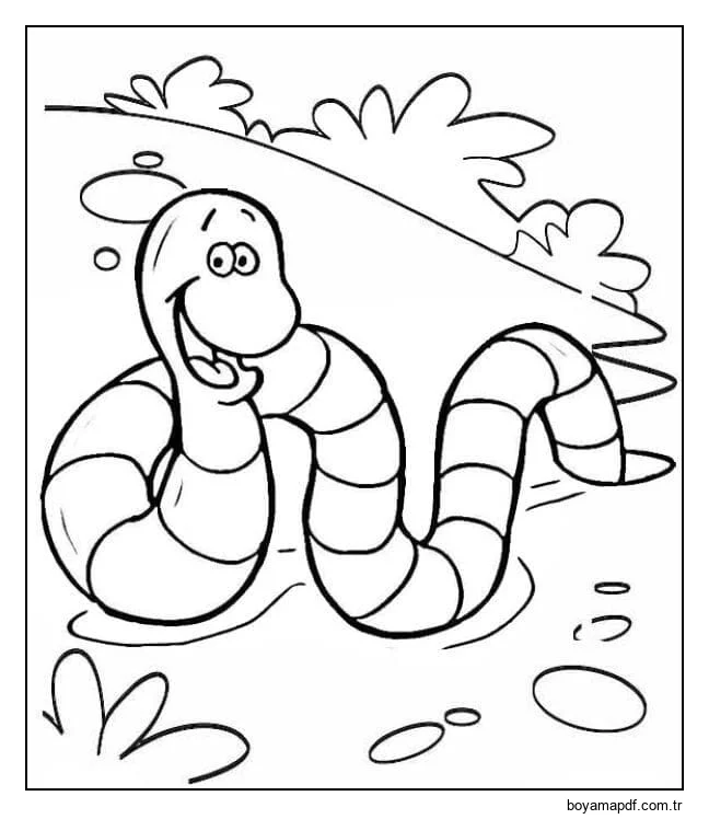 Basit Solucan Boyama Sayfası