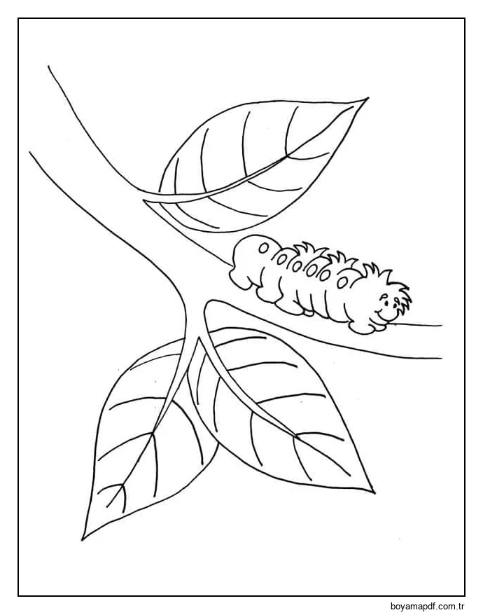 Dal Ağacındaki Temel Solucan Boyama Sayfası