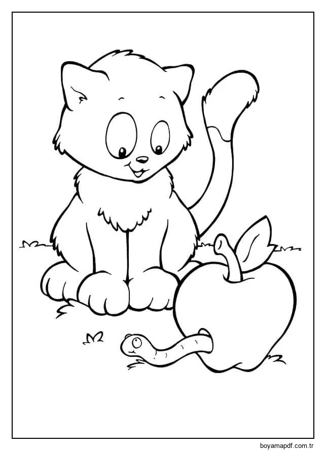 Elmada Solucan Olan Kedi Boyama Sayfası