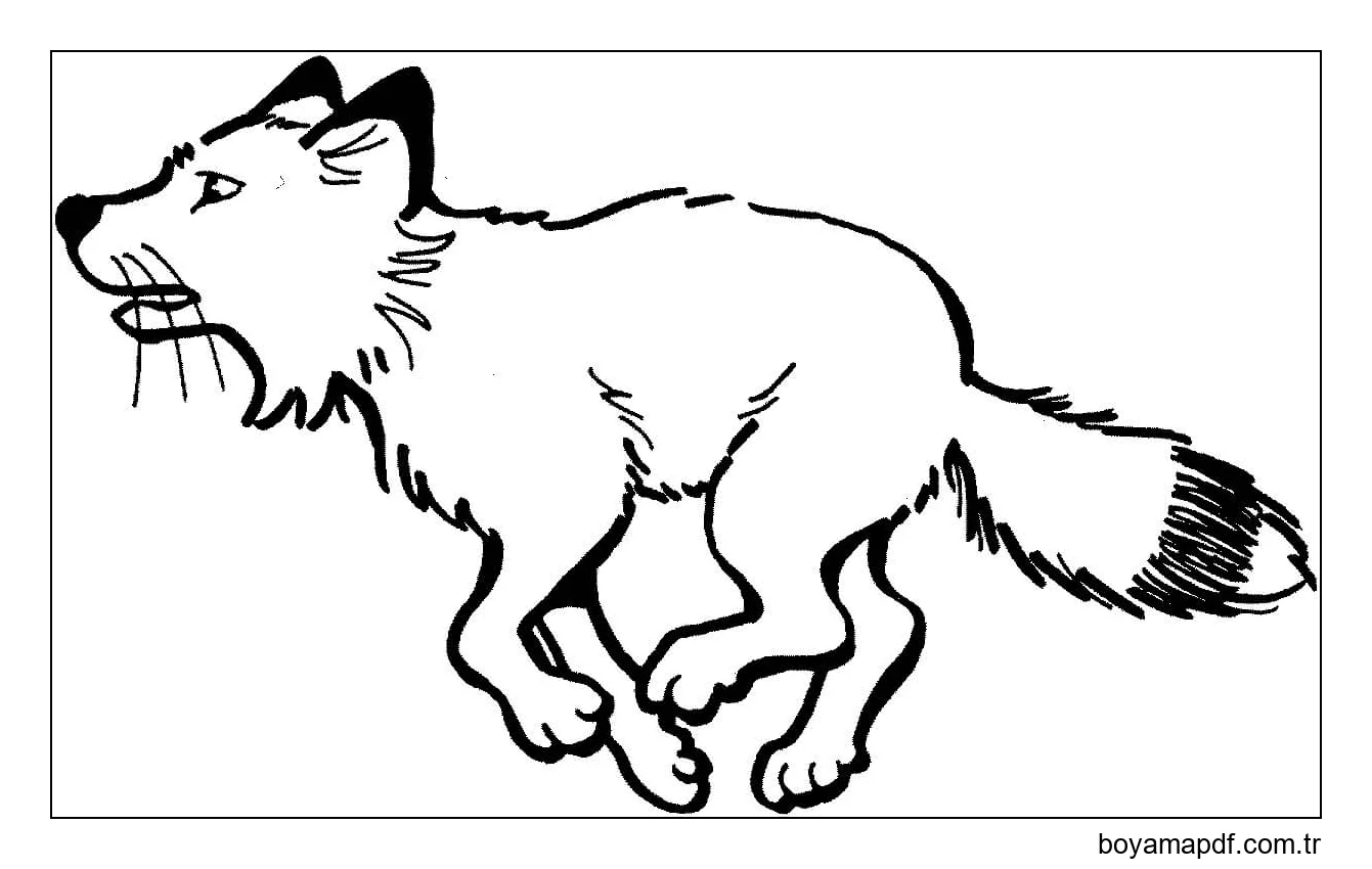 Fox Koşusu Boyama Sayfası