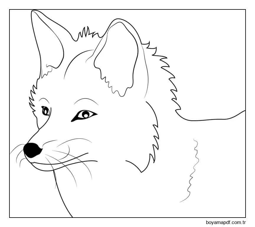 Fox'un Yüzü Boyama Sayfası