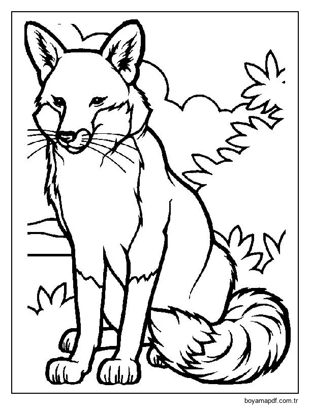 Güzel Kızıl Tilki Boyama Sayfası