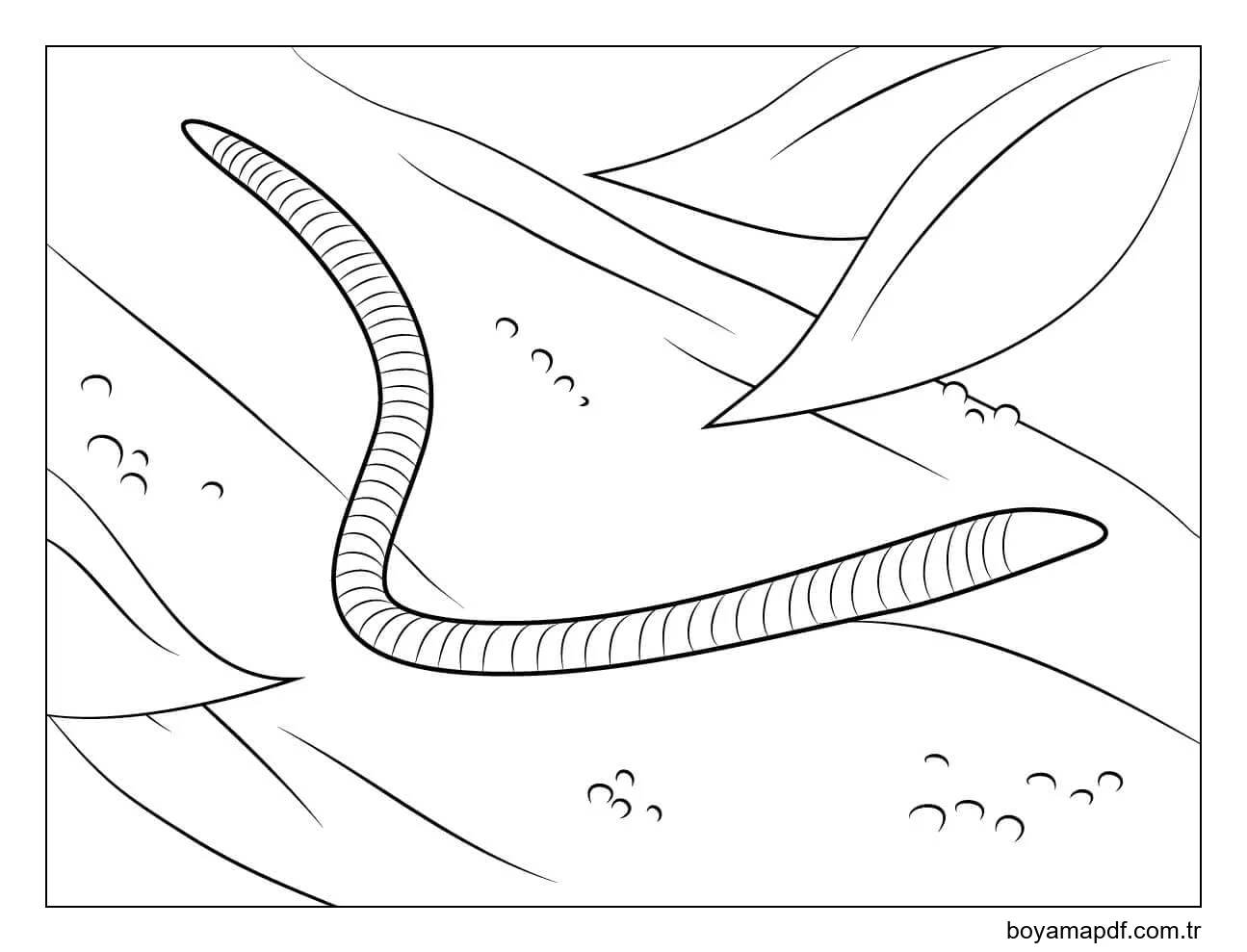 güzel solucan Boyama Sayfası