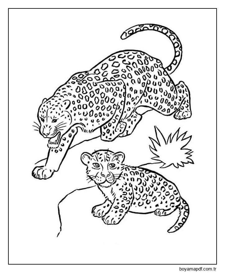 İki Jaguar Boyama Sayfası