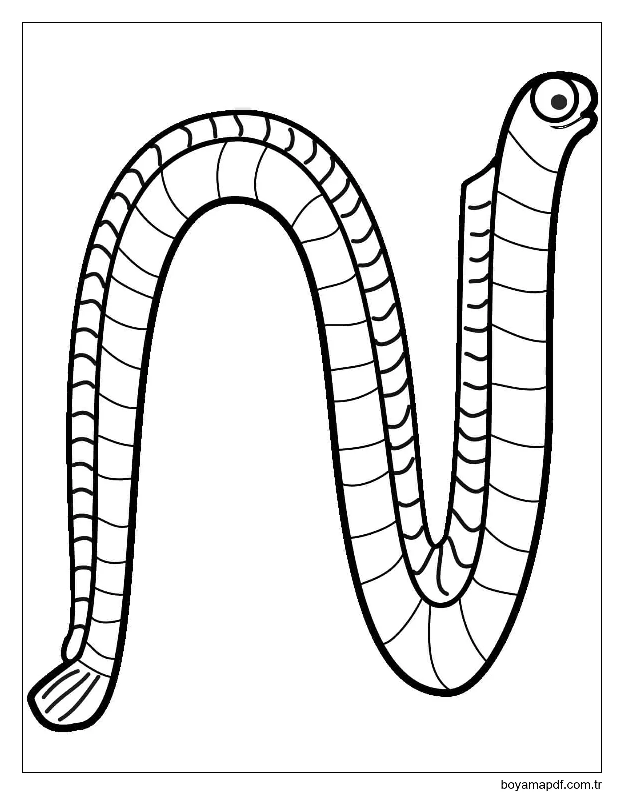 İnanılmaz Solucan Boyama Sayfası