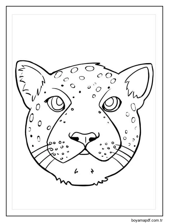 Jaguar Kafası Boyama Sayfası