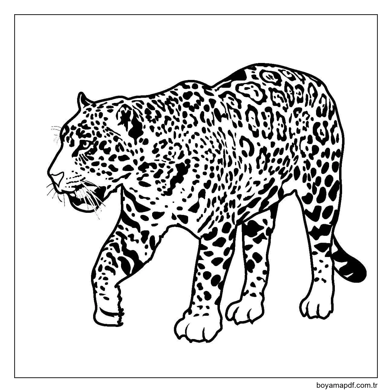 Jaguar Yürüyüşü Boyama Sayfası