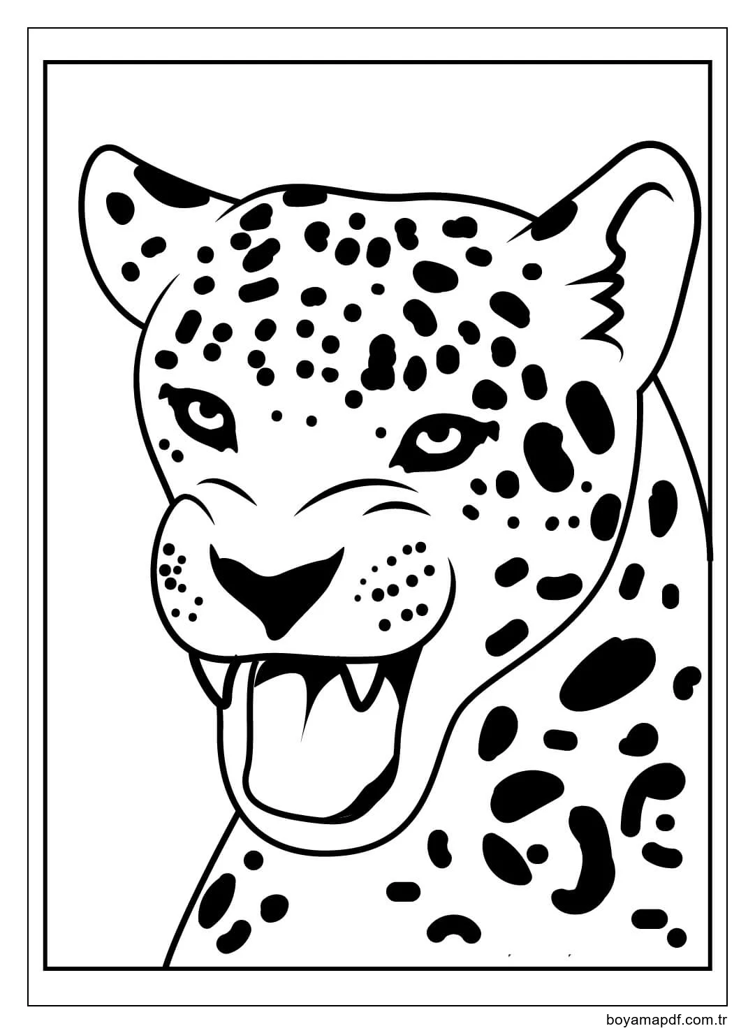 Jaguar Yüzü Boyama Sayfası