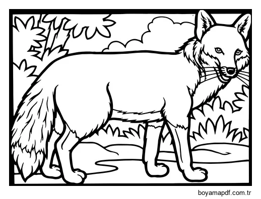 Kızıl Tilki Boyama Sayfası