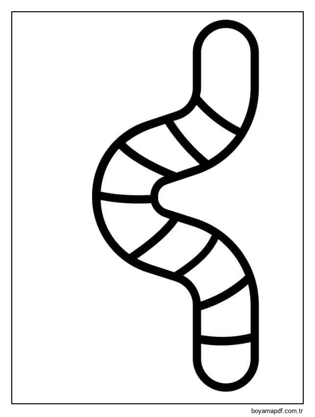 Kolay Solucan Boyama Sayfası