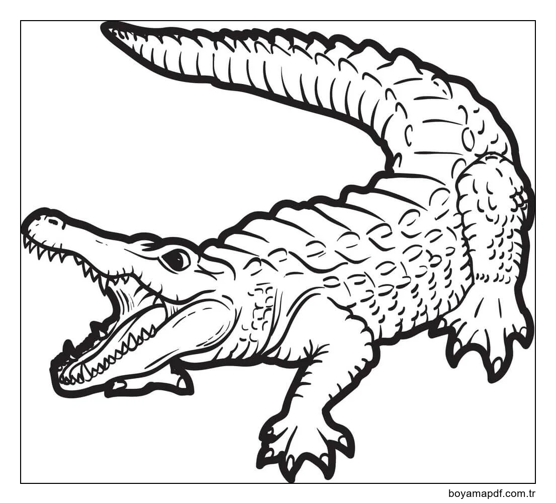 Korkunç Timsah Boyama Sayfası
