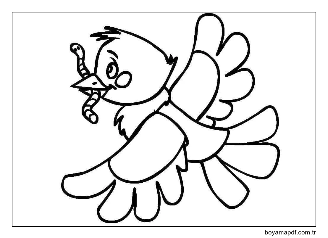 Kuş Yiyen Solucan Boyama Sayfası