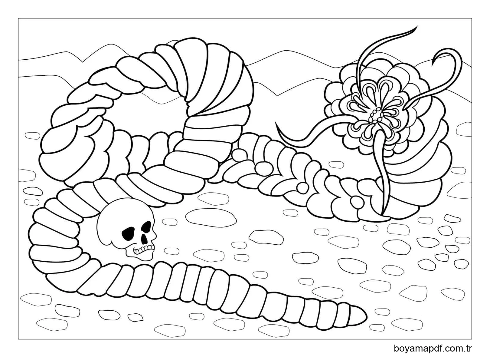 Moğol Ölüm Solucanı Boyama Sayfası