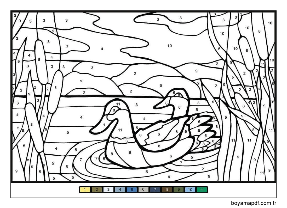 Mullard Ördekler Sayıya Göre Renk Boyama Sayfası