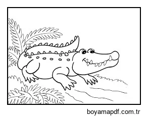 Normal Timsah Boyama Sayfası