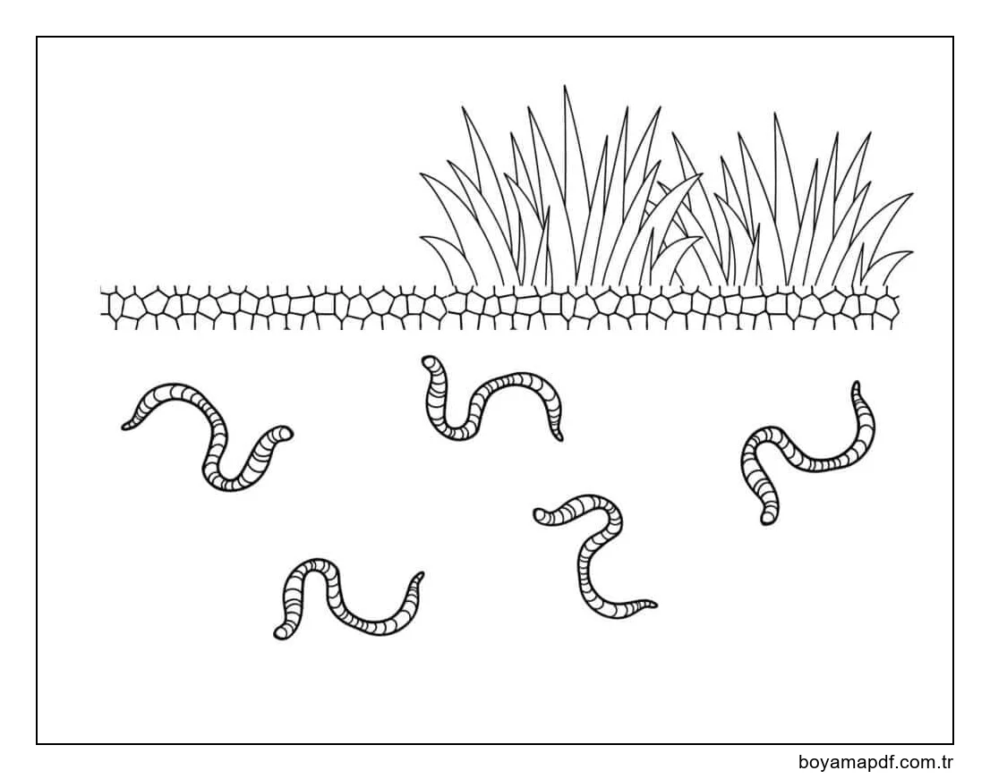 Soli'deki Solucanlar Boyama Sayfası