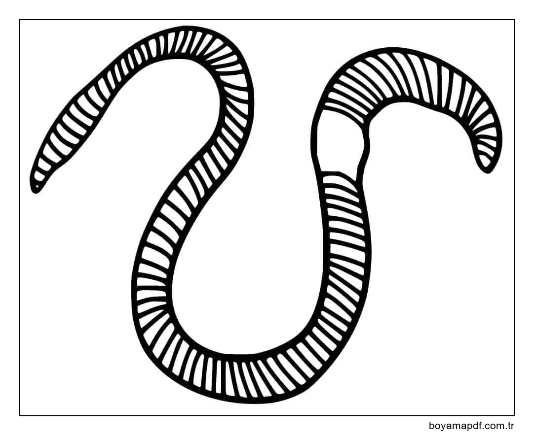 Solucan Çok Boyama Sayfası