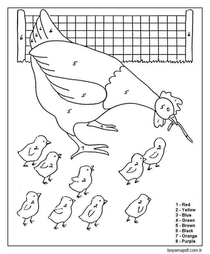 Solucan Yiyen Civcivlerle Anne Tavuk Boyama Sayfası