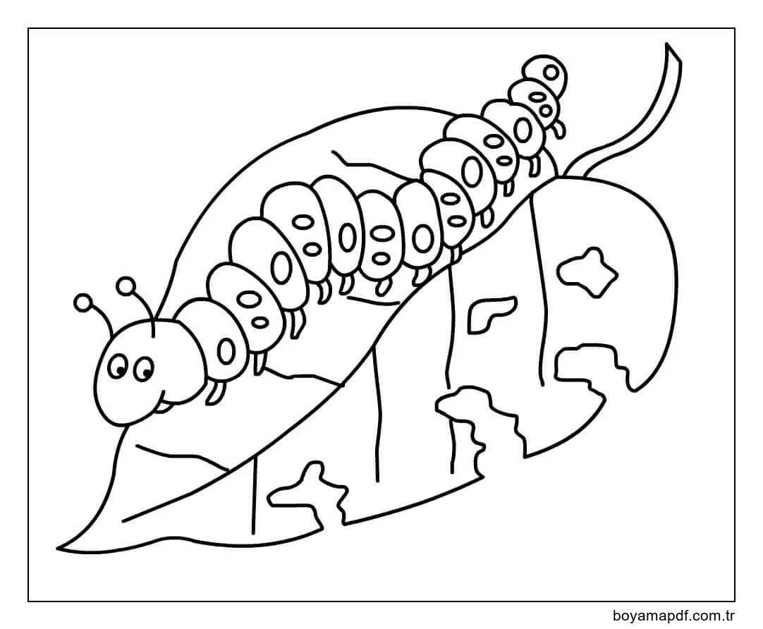 Solucan Yiyen Yaprak Boyama Sayfası