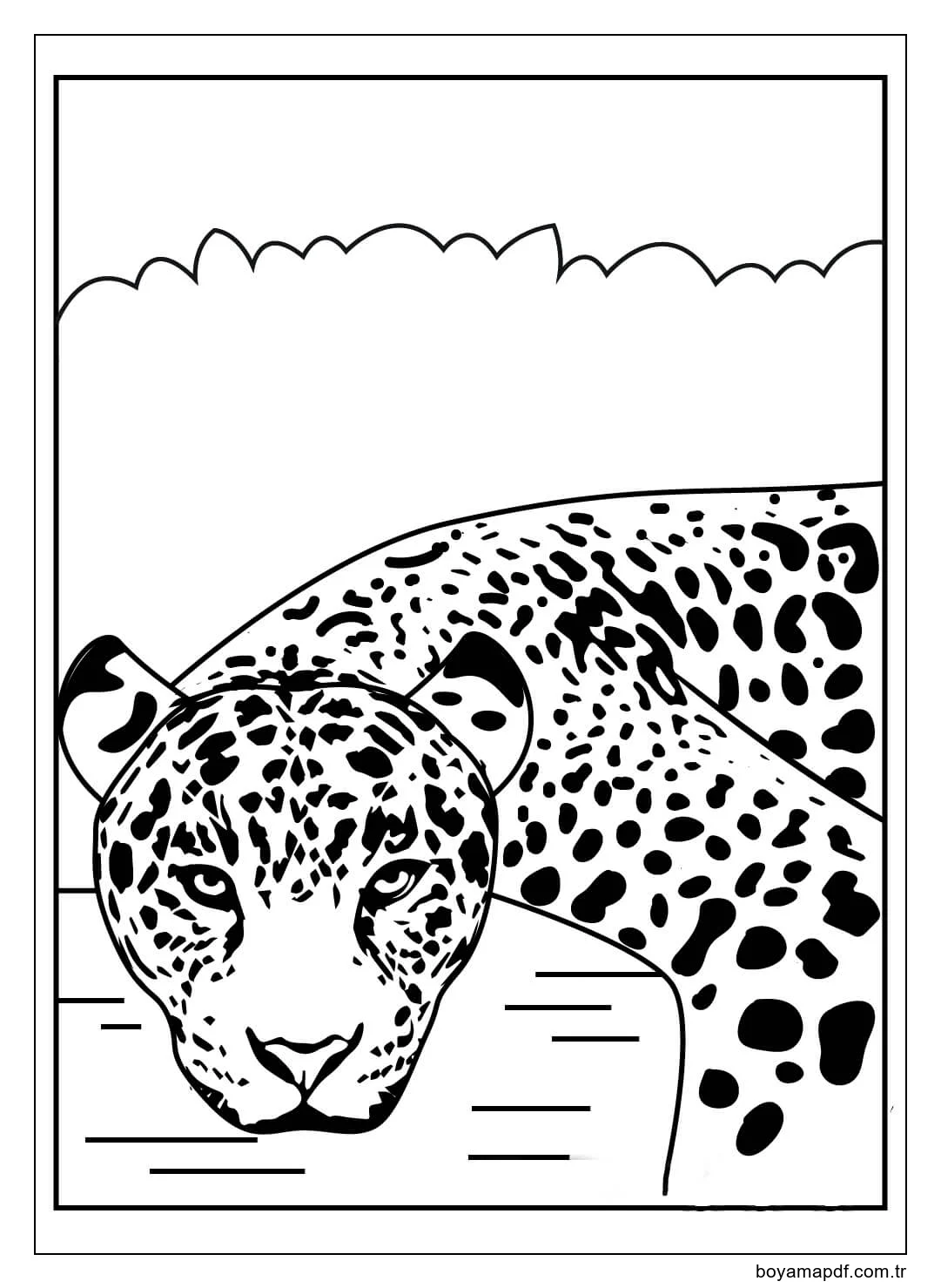 Temel Jaguar Yüzü Boyama Sayfası