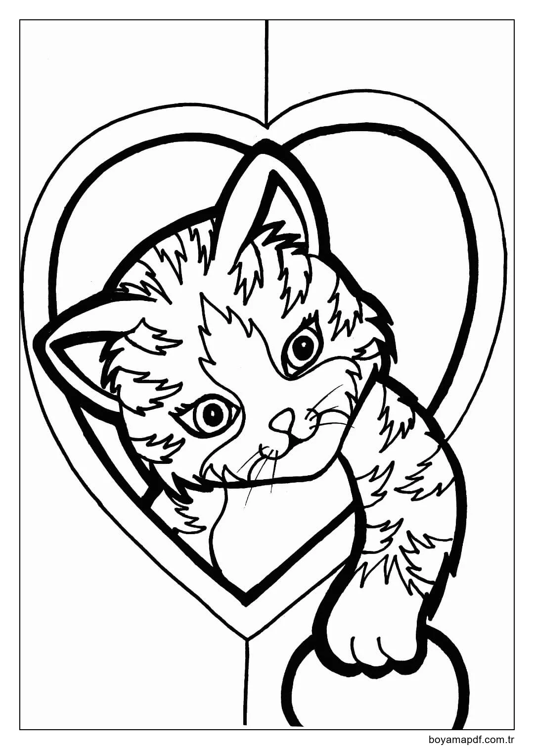 Temel Kedi Kawaii Boyama Sayfası