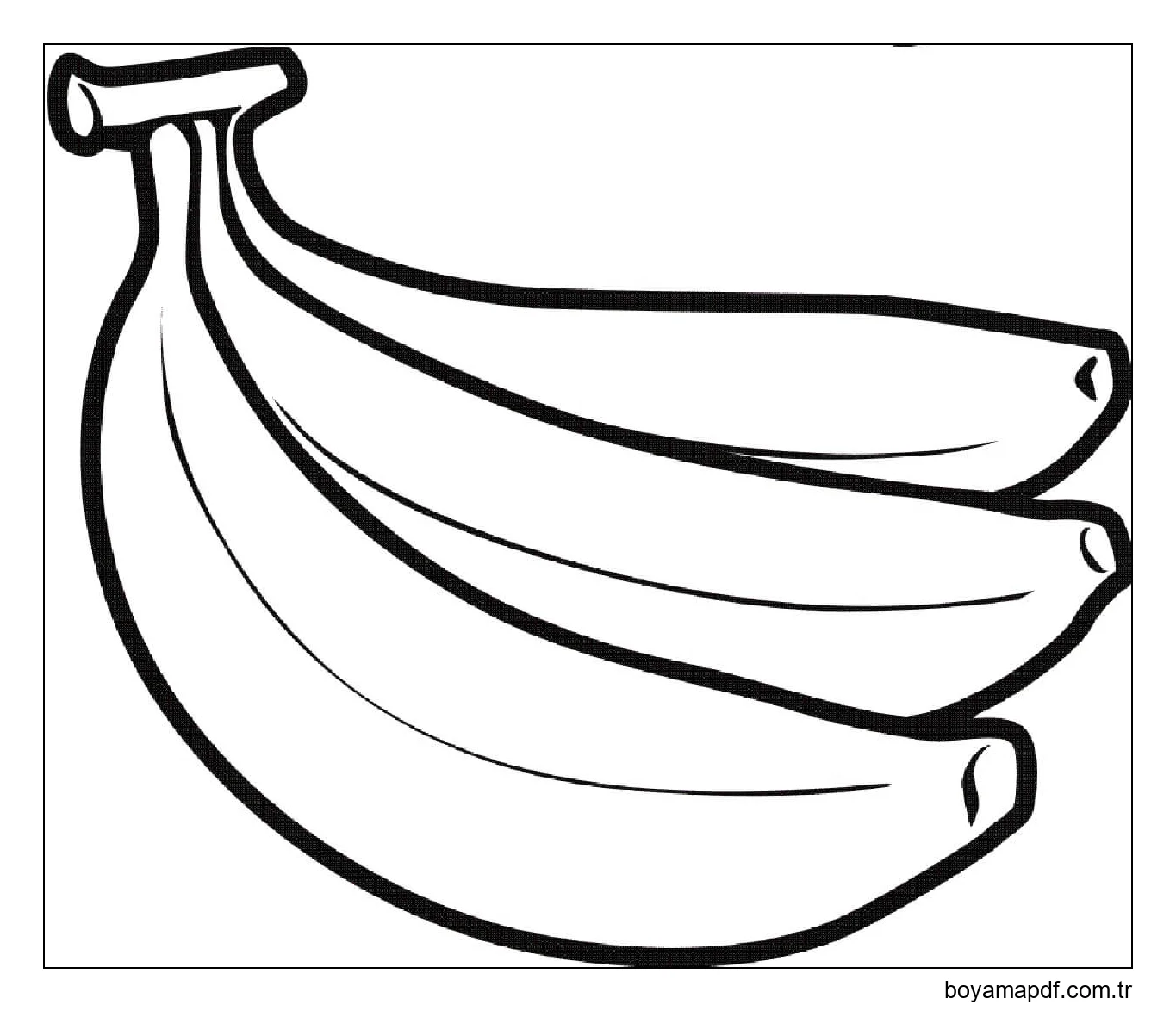 Temel Muzlar Boyama Sayfası