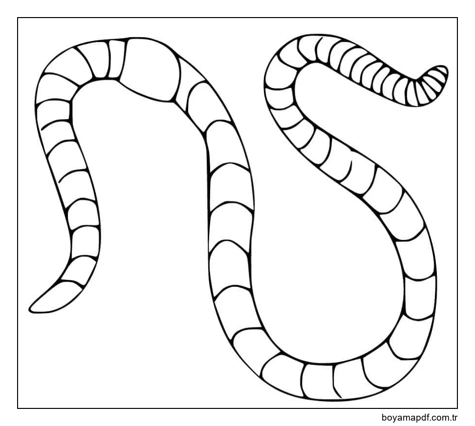 Temel Solucan Çok Boyama Sayfası