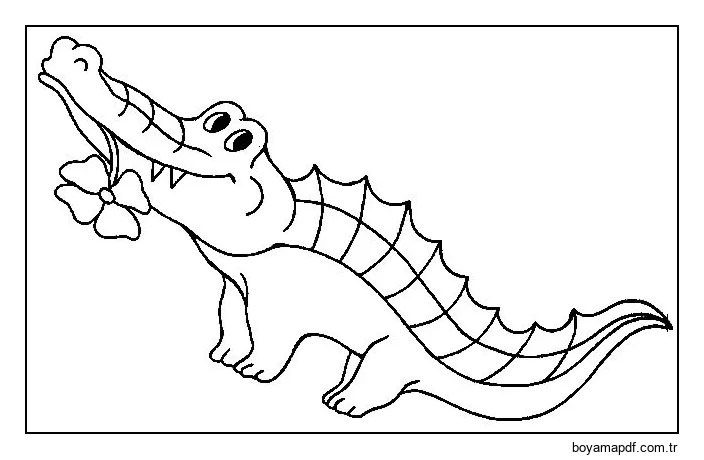 Timsah ve Çiçek Boyama Sayfası