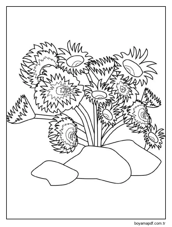 Tüp Solucanları Boyama Sayfası