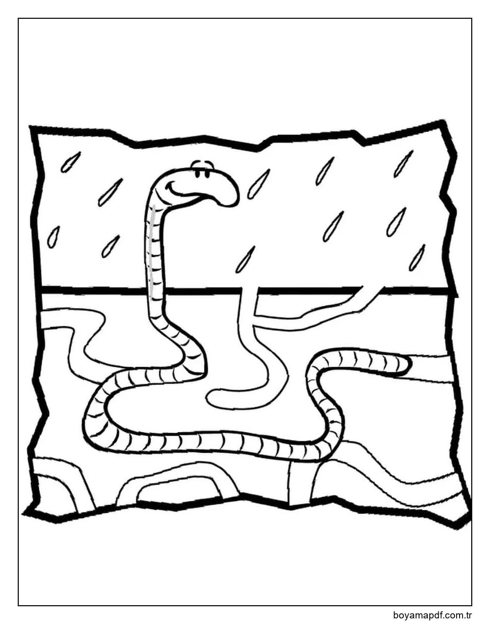 Yağmurda Solucan Boyama Sayfası