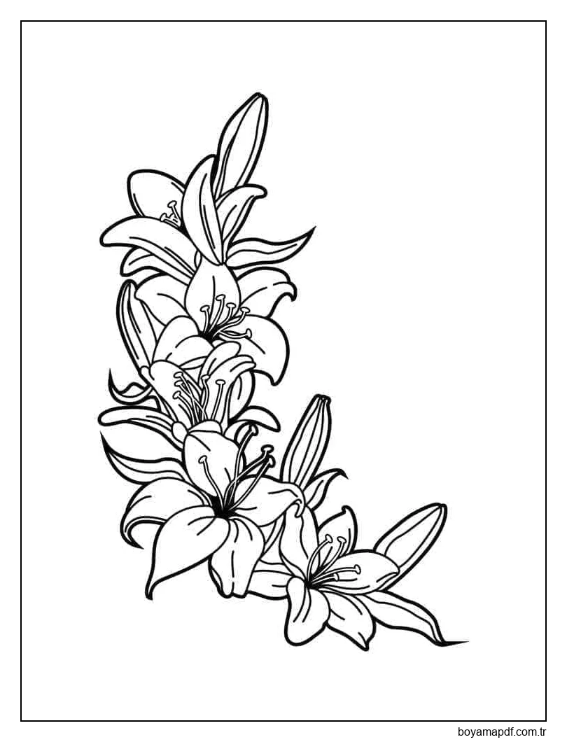Zambaklar çiçek Resmi Boyama Sayfası