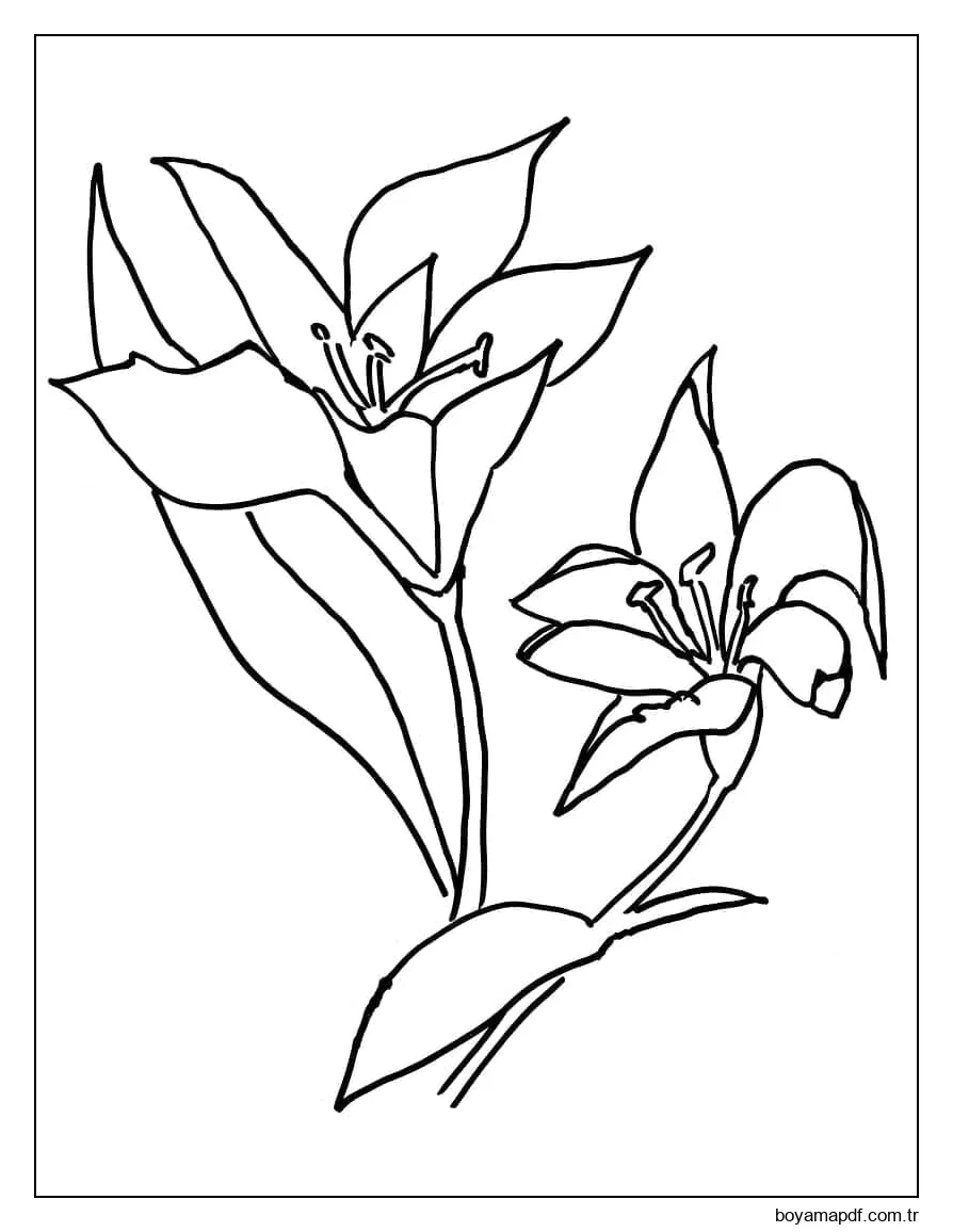 Zambaklar Yazdır Boyama Sayfası
