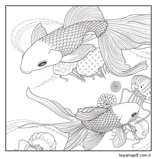 2 Güzel Japon Balığı karakter çizimi