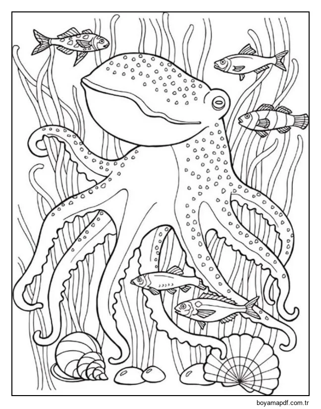 Ahtapot karakter çizimi