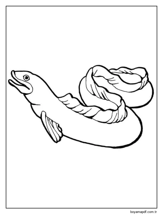 Akne karakter çizimi